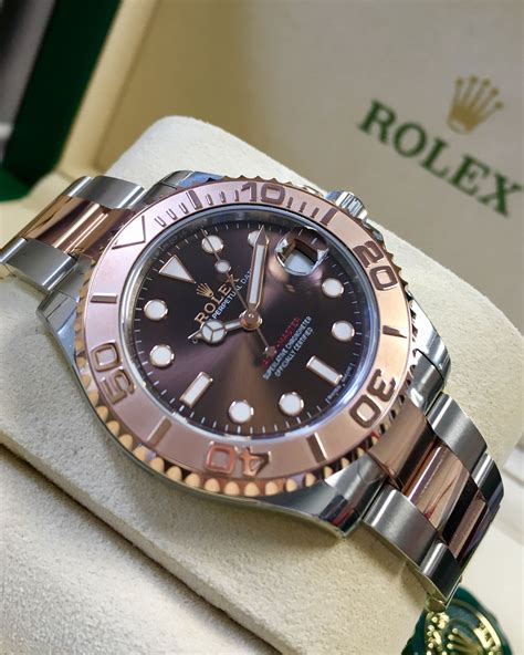 rolex yacht-master 37 everose gold|yacht master everose gold price.